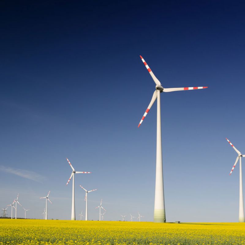 Branchenschwerpunkt Erneuerbare Energie Details